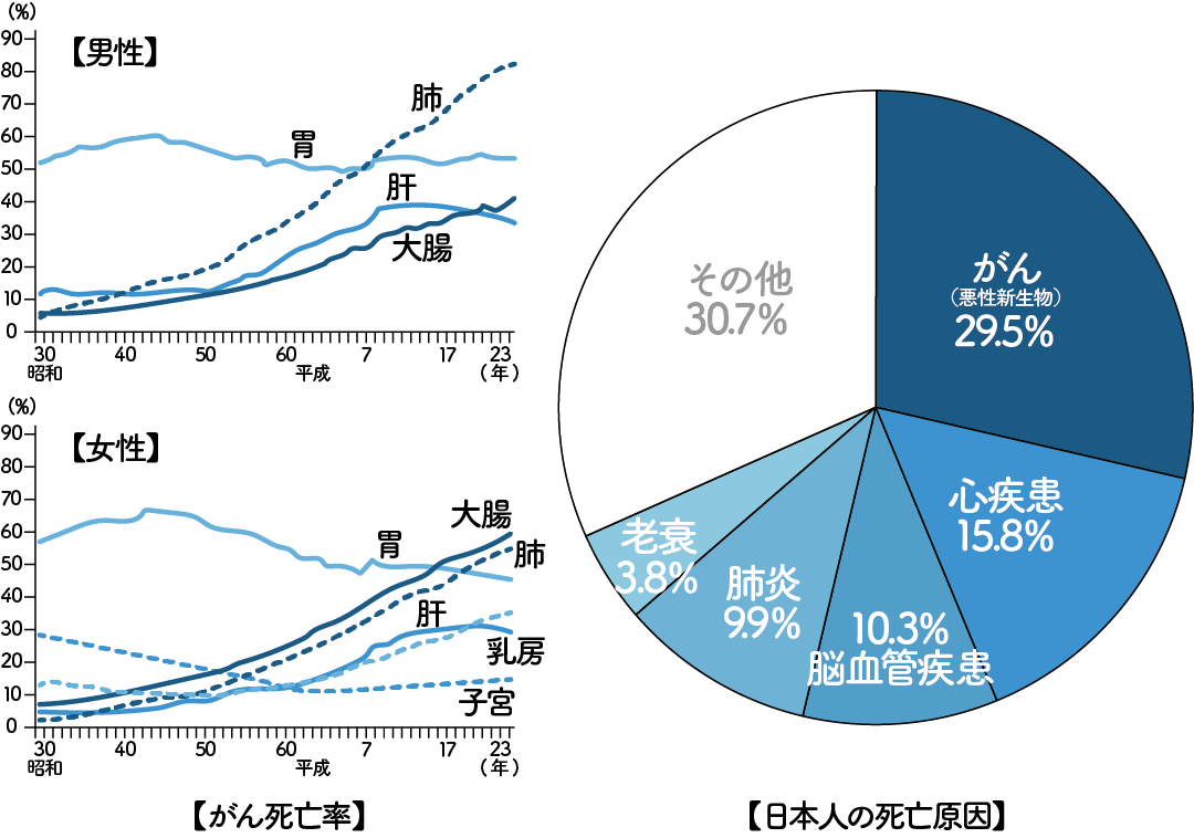 日本人の死亡要因